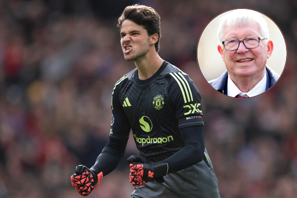 Lammens an la lut fuh khawp mai: Alex Fersugon